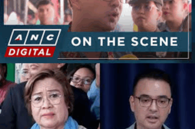 Cayetano slammed for tagging de Lima on Villanueva dismissal issue