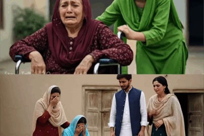दुष्ट बेटी ने अपनी माँ को घर से बाहर धकेल दिया। एक ऐसी कहानी जो आपको रुला देगी।