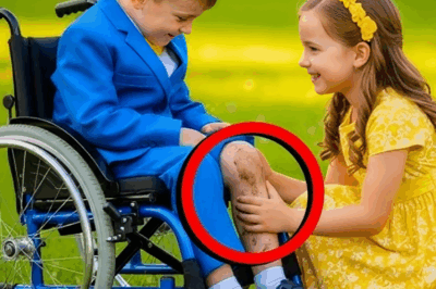 MİLYONERİN OĞLU tekerlekli sandalyedeydi, ta ki FAKİR BİR KIZ, ÇOCUĞUN neden yürüyemediğini öğrenene