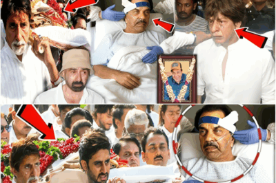 धर्मेंद्र के निधन से फूट फूट कर रोए शाहरुख खान! Dharmendra Death News ! Dharmendra Passes Away