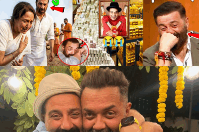 Sunny Deol and Bobby Deol turned down crores of rupees for their father! Sunny Deol and Bobby Deo…