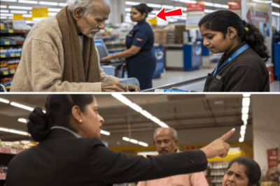बुजुर्ग की मदद करने पर नौकरी चली गई… लेकिन अगली सुबह जो हुआ, उसे देखकर सब रह गए
