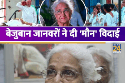Veteran Actress Kamini Kaushal Merges with the Five Elements: Family Bids Tearful Farewell