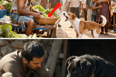 कुत्ता हर दिन रोज गरीब सब्ज़ीवाले को भौंकता था… एक दिन असलियत पता चली तो सबके होश उड़ गए