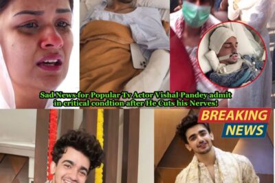Sad News for Popular Tv Actor Vishal Pandey admit in critical condtion after He Cuts his Nerves!