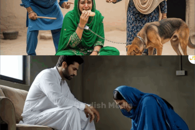 तलाक के कारण बांझ पत्नी ने कुत्ते के साथ चावल खाया