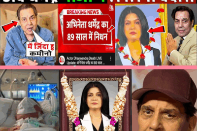 अंजना ने निधन की खबर दिखाई, अब धर्मेंद्र पाजी का ले लिया बदला! Dharmendra News ! anjana om kashyap