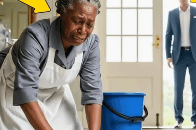 Milyarder bir adam, memleketine döndüğünde evlat edinen annesinin temizlikçi olarak çalıştığını görür.