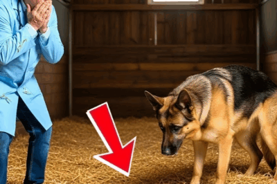 “Veteriner bembeyaz kesildi Köpek doğum yapınca ortaya çıkan şey şoke ediciydi