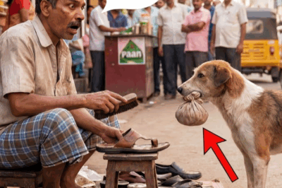 गरीब मोची के पास एक कुत्ता रोज़ जूते लेकर आता था… एक दिन कुछ ऐसा लाया, देख मोची के होश उड़े | Story