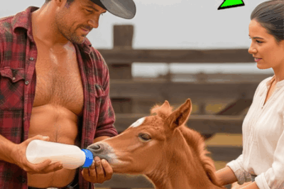 KİMSE KİBİRLİ KOVBOYLA EVLENMEK İSTEMİYORDU. TA Kİ KADIN, ONUN NAZİK KALBİNİ GÖRENE KADAR