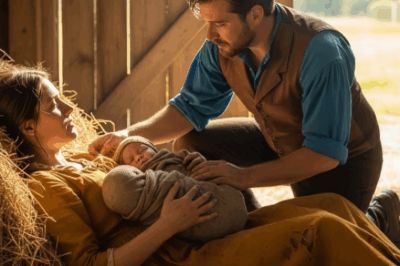 ACIDAN KAÇARAK AHIRA SIĞINDI — AMA ÇİFTÇİ ORADA NE BULACAĞINI ASLA TAHMİN EDEMEMİŞTİ…