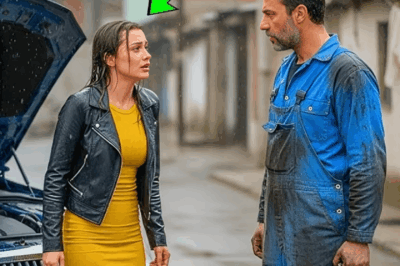 EVSİZ BİR TAMİRCİ, BİR CEO’YA YARDIM TEKLİF ETTİ. KARŞILIĞINDA SADECE BİR İŞ FIRSATI İSTEDİ