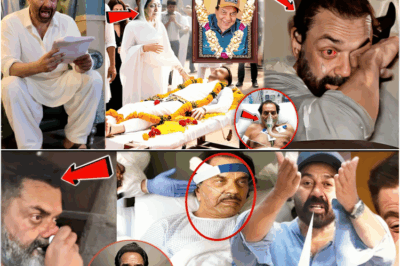 पिता धर्मेंद्र के लिए सनी बॉबी ने ठुकरा दिए करोड़ों रूपये ! Sunny deol and Bobby deol Sacrifice