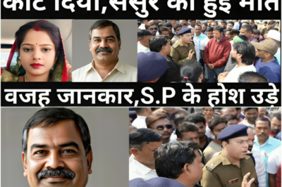 बहू का इंतकाम: जब न्याय की गुहार ज़हर बन गई