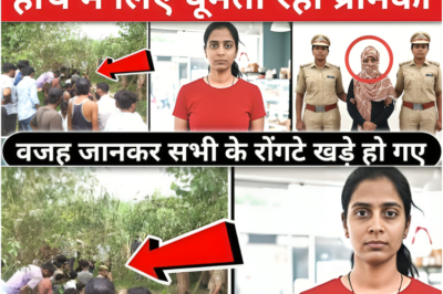 जिस लड़की को लोग मासूम समझ रहे थे वही सबसे बड़ी गुनहगार निकली