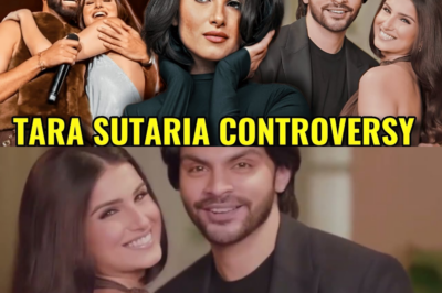 तारा सुतारिया और एपी ढिल्लों के कॉन्सर्ट के दौरान अजीब पल: वीर पहाड़िया परेशान थे