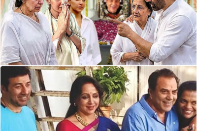 Sunny Deol stirred drama around his stepmom! Dharmendra, Sunny Deol, Hema Malini, Bobby Deol Esha