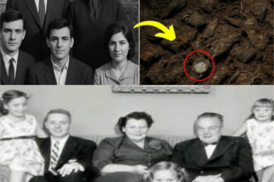 Aile 1967’de ailece seyahate çıktı kayboldu — 55 yıl sonra gerçek ortaya çıktı…
