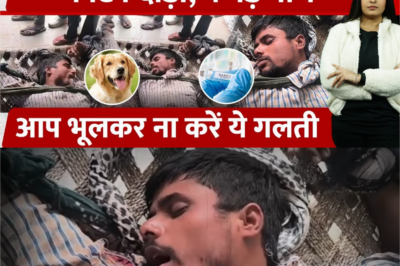UP Aligarh में ‘कुत्ते जैसा’ बना युवक, 18 घंटे में शुरू किया भौंकना, “काटने दौड़ा” Video Viral