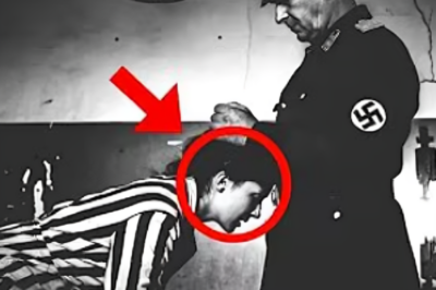 “Üç seçeneğin var” — Bir Alman komutanının genç bir esire verdiği acımasız ültimatom.