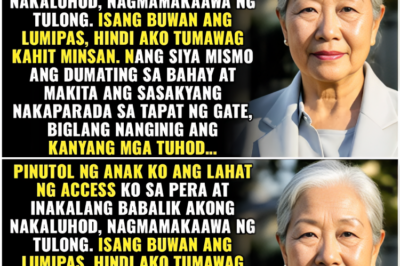 Pinutulan Ako ng Access ng Aking Anak, Inasahan Niya Akong Magmamakaawa, Hanggang sa Siya’y Nagdaan.