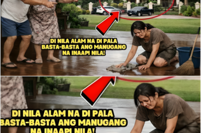 PROBINSYANANG BABAE, GINAWANG KATULONG NG PAMILYA NG KANYANG NAPANGASAWA SA MAYNILADI NILA ALAM NA