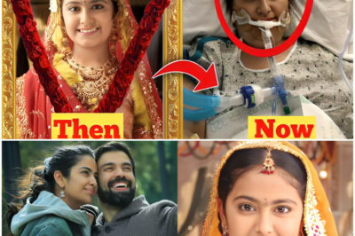 बालिका वधू की आनंदी अब क्यों नहीं दिखाई देती है टीवी सीरियल में ?