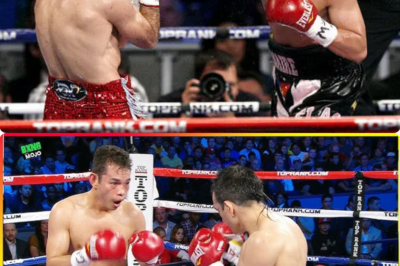 Nonito Donaire (Philippines) vs Omar Narvaez (Argentina)