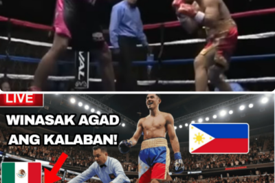 NEW FIGHT! WINASAK AGAD ANG KALABAN!