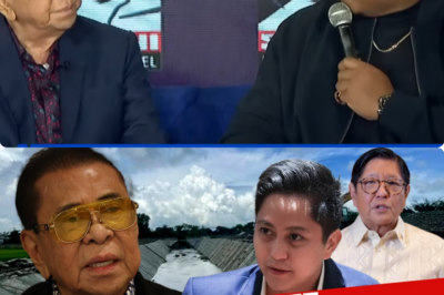 ILOCOS NORTE, WALANG MATINONG PROYEKTO —CHAVIT SINGSON