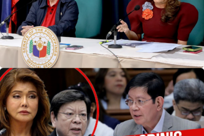 SEN. MARCOLETA AT SEN. IMEE, DISMAYADO SA BLUE RIBBON HEARING SA GHOST FLOOD CONTROL PROJECTS.