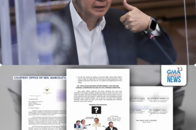 Sen. Lacson — I didn’t read the Senate Minority report