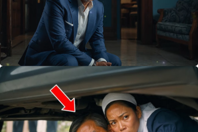 MANAHIMIK KA… SABI NG EMPLEYADA SA MILYONARYO… AT BINAGO NITO ANG LAHAT