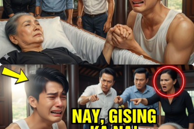 Bilyonarya, Binago Ang Huling Habilin—Ang Batang Tindero Ng Ticket Ang Tagapagmana!