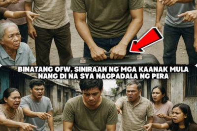 BINATANG OFW, SINIRAAN NG MGA KAANAK MULA NANG DI NA SYA NAGPADALA NG PERATIKLOP BIBIG NILANG LAHAT