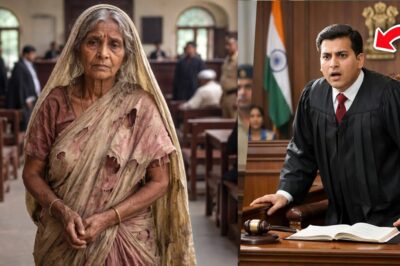 कोर्ट में आई एक भिखारिन… और सच सामने आते ही जज कुर्सी से उठ खड़ा हुआ! सच्चाई रूह हिला देगी