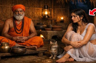 साधु को विधवा महिला ने एक रात की पनाह दी…सुबह ऐसा सच सामने आया, जिसने पूरे गांव को सन्न कर दिया…