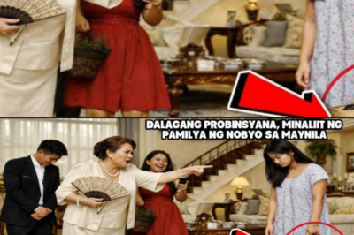 DALAGANG PROBINSYANA, MINALIIT NG PAMILYA NG NOBYO SA MAYNILADI NILA ALAM NA ITO PALA ANG MAY-ARI NG