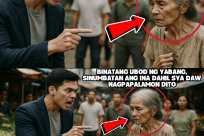 BINATANG UBOD NG YABANG, SINUMBATAN ANG INA DAHIL SYA DAW NAGPAPALAMON DITOPERO NAPATULALA SYA NANG