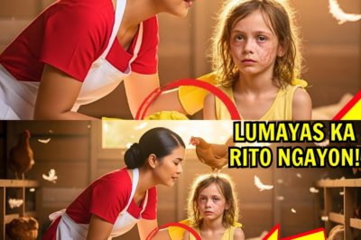 Anak ng bilyonaryo, nagtatago sa kulungan ng manok… hanggang sa may ginawa ang kasambahay!