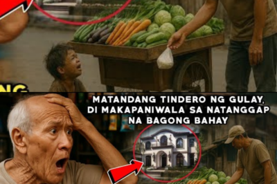 MATANDANG TINDERO NG GULAY, DI MAKAPANIWALA SA NATANGGAP NA BAGONG BAHAYREGALO PALA ITO NG BATANG..