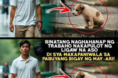 BINATANG NAGHAHANAP NG TRABAHO NAKAPULOT NG LIGAW NA ASODI SYA MAKAPANIWALA SA PABUYANG BIGAY NG…