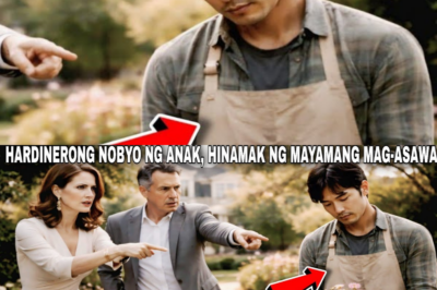 HARDINERONG NOBYO NG ANAK, HINAMAK NG MAYAMANG MAG-ASAWAGULAT SILA NANG MALAMANG BILYONARYO PALA…