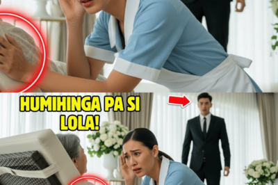 INIHANDA NA ANG ABU, PERO NANG MAKINIG ANG KASAMBAHAY, BUHAY PA PALA SI LOLA!