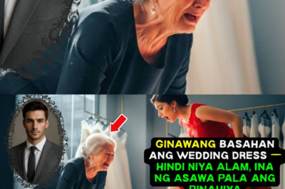 “Ginawang basahan ang damit ng matandang katulong—hindi niya alam kung sino ito…”