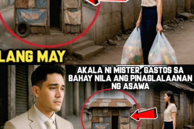 AKALA NI MISTER, GASTOS SA BAHAY NILA ANG PINAGLALAANAN NG ASAWADI SYA MAKAPANIWALANG MAY BINUBUHAY