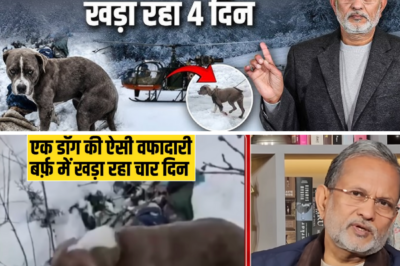 बर्फ में 4 दिन भूखे-प्यासे रहकर कुत्ते ने निभाई ऐसी वफादारी || Ajit Anjum