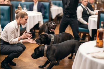 Sa loob ng patrol car, si Raul ay tumingin kay Katrina.