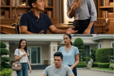 Nagkunwaring Paralisado ang Bilyonaryo Para Subukan ang Fiancée!